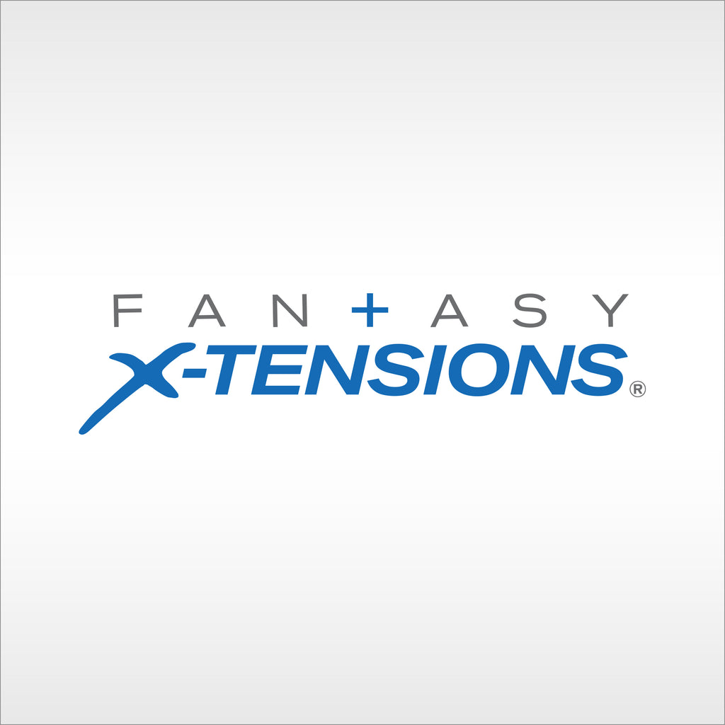 Fantasy X-tension logo on a silver background